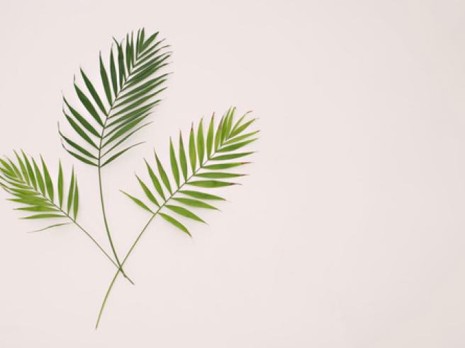 lightstock 202386 xsmall richard maranta