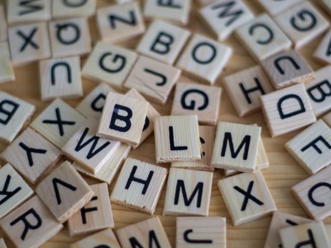 sven brandsma C5SUkYZT7nU unsplash