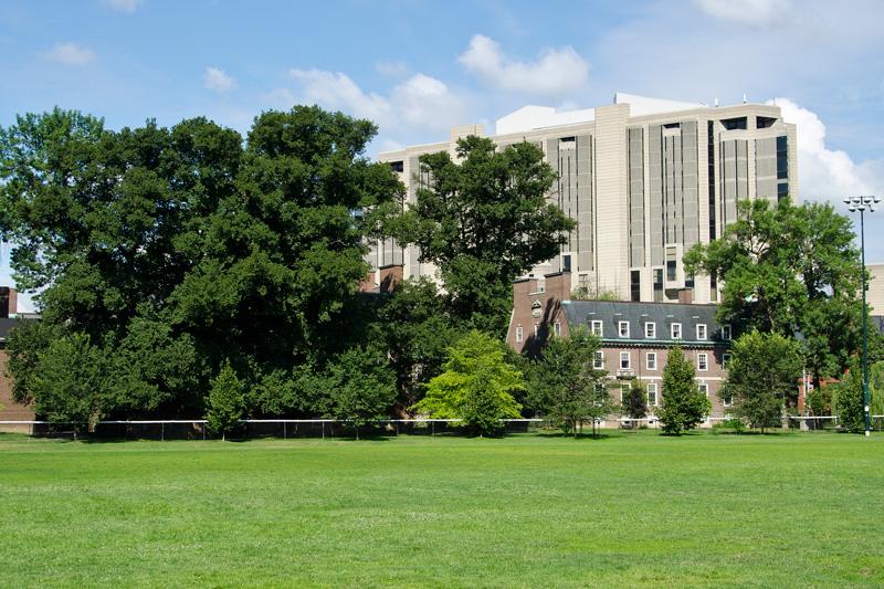 UofT   Robarts and Field   Toronto